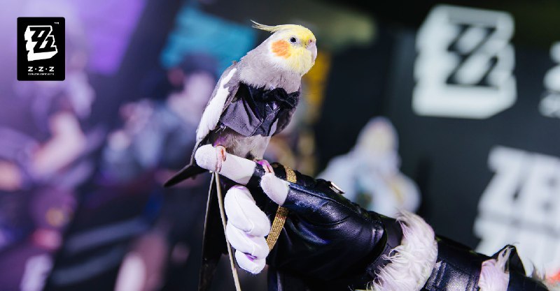 HoYo FEST 2025 Highlights Recap!We're blown away by the passion shown by each and every one of you! Thank you all for supporting HoYo FEST 2025!Let's take a look at some highlights from the event~source @ZZZ_Game #hoyoverseHoYo FEST 2025 Highlights Recap!We're blown away by the passion shown by each and every one of you! Thank you all for supporting HoYo FEST 2025!Let's take a look at some highlights from the event~source @ZZZ_Game #hoyoverse