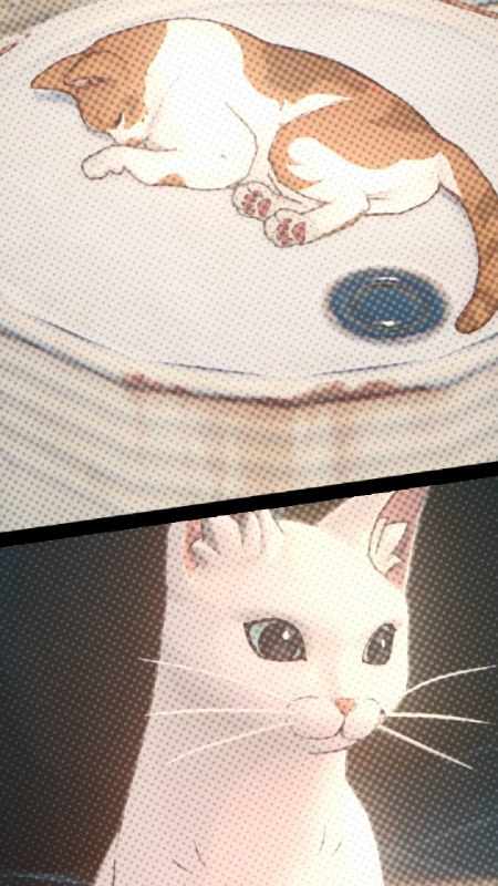 试镜精选 | 朱鸢「编号148，朱鸢，就位