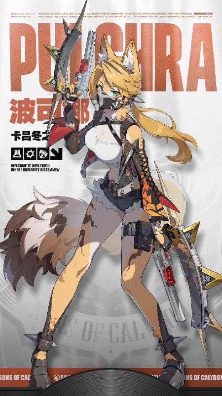 代理人档案 | 波可娜「我只对赢家忠诚，而赢家，永远是我